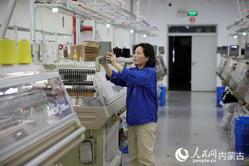 內蒙古鄂爾多斯市暖城 全力構筑世界級羊絨產業網絡設備體系